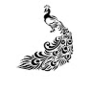 Meet your Posher, Lucy